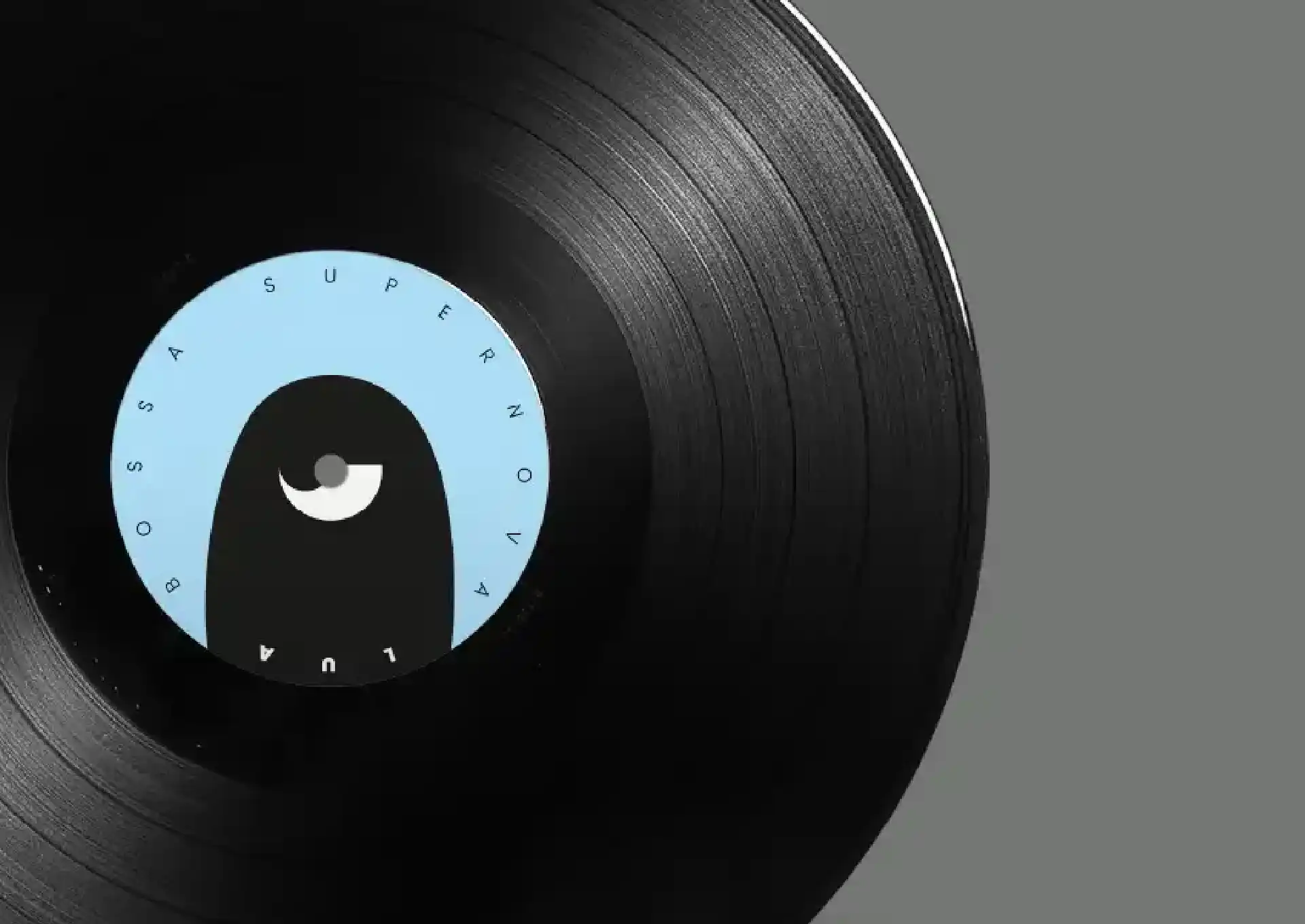 Gros plan sur le disque vinyle