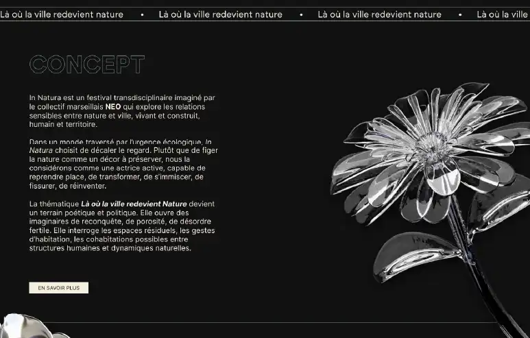Capture du site web version desktop section Concept