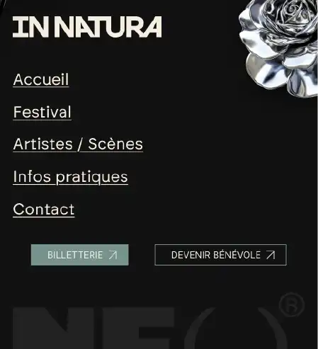 Capture du site web version mobile page Règles