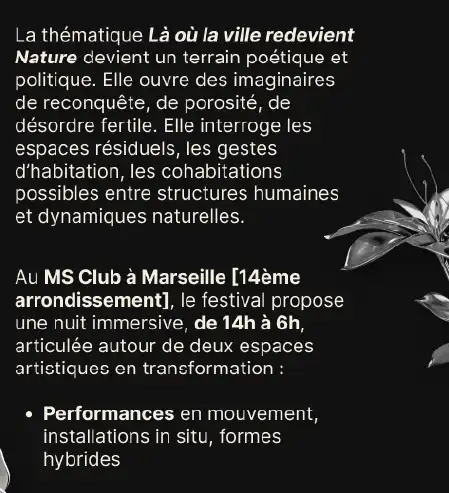 Capture du site web version mobile partie Footer